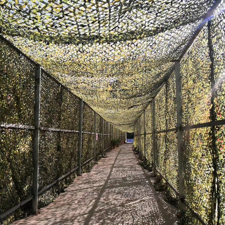 Double-layer customization-jungle