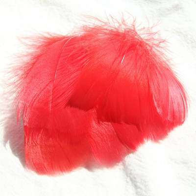 สีแดงสดใส