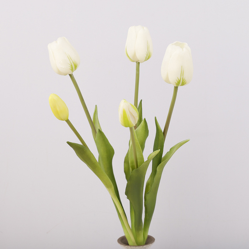 Bouquet de tulipes (blanc vert)