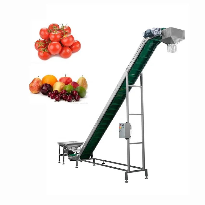 De grado de alimentos cadenas transportadoras 2m 3m 5m cinta transportadora de máquina para frutas y verduras precio