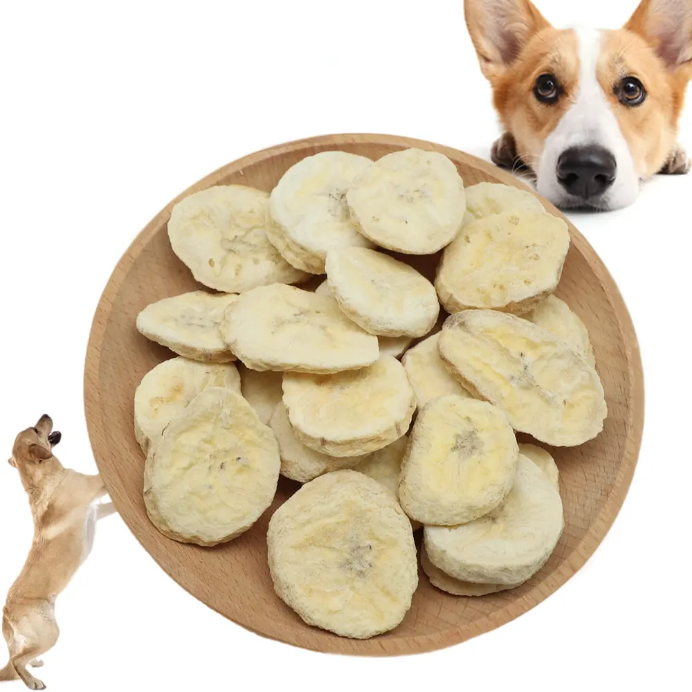 Dog Freeze Dried Treats Freeze Dried Banana