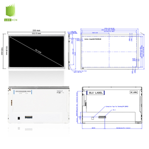 AUO 10.1インチ1024x600周りIPS工業用ハンドヘルドターミナルLCDディスプレイ10.1インチ容量タッチなしLCDモジュール - Product Image 3