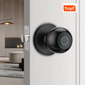 Ruang dalam ruangan baja tahan karat bulat tahan lama <span class=keywords><strong>Sensor</strong></span> sidik jari pintu pintar tombol pegangan kunci Tuya kunci pintar pintu pintu pintar - Product Image 1