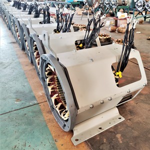YTW ST/STC Brush Generator Copper Wire <strong>dynamo</strong> Factory Delivery - Product Image 3