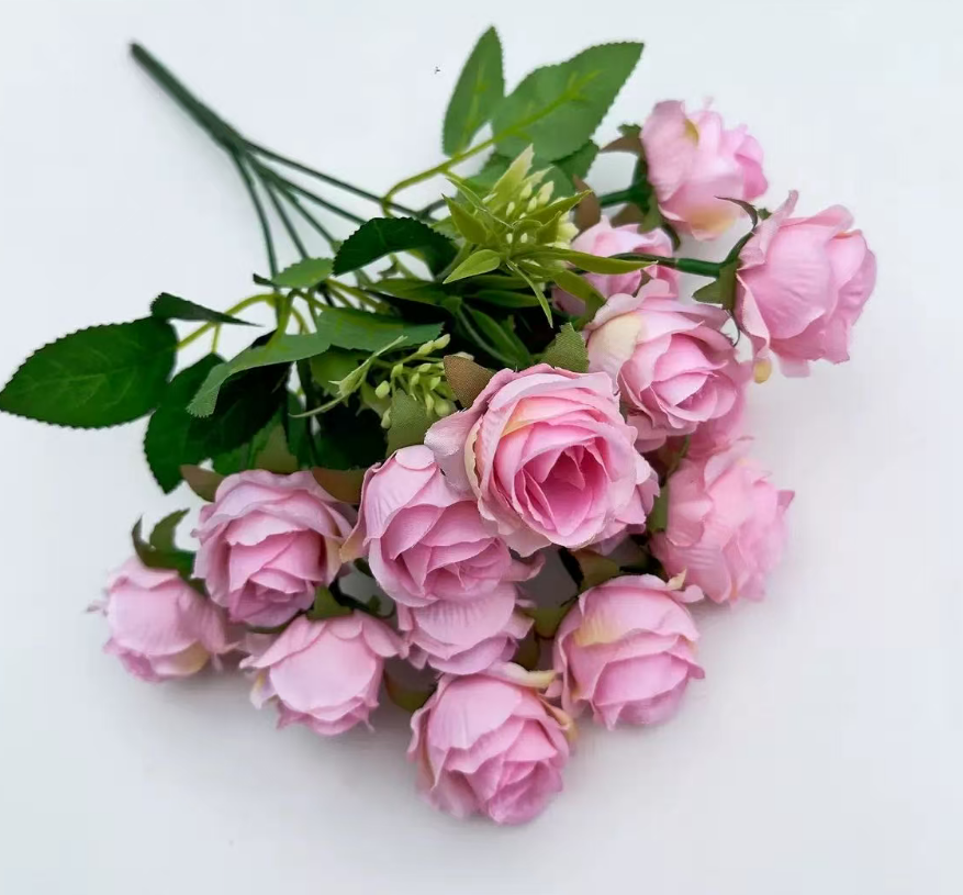 Rosa2