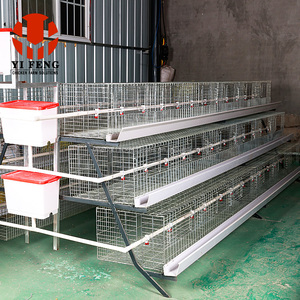 Besleyici tavuk Broiler besleme kafesi ile 4 katmanlı tavuk yumurtlama kafesi horoz tavuk kafesi - Product Image 1