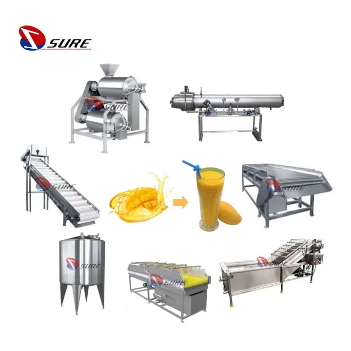 Endüstriyel meyve suyu sıkacağı konsantre makinesi hamuru meyve mango suyu yapma makinesi