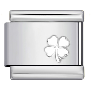 ICY915-2silvery
