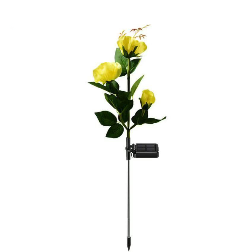 Yellow rose