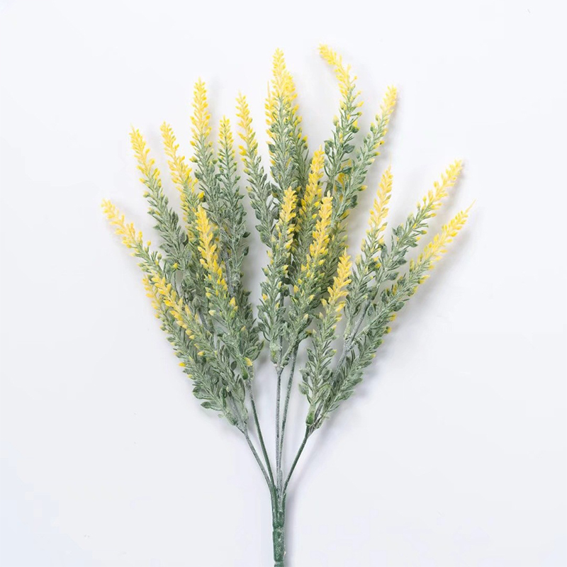 Jaune