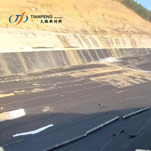 Reinforced Polypropylene Geomembrane <strong>Hdpe</strong> 1-6mm for Channel Lake Dam Civil Engineering Projects - Product Image 6