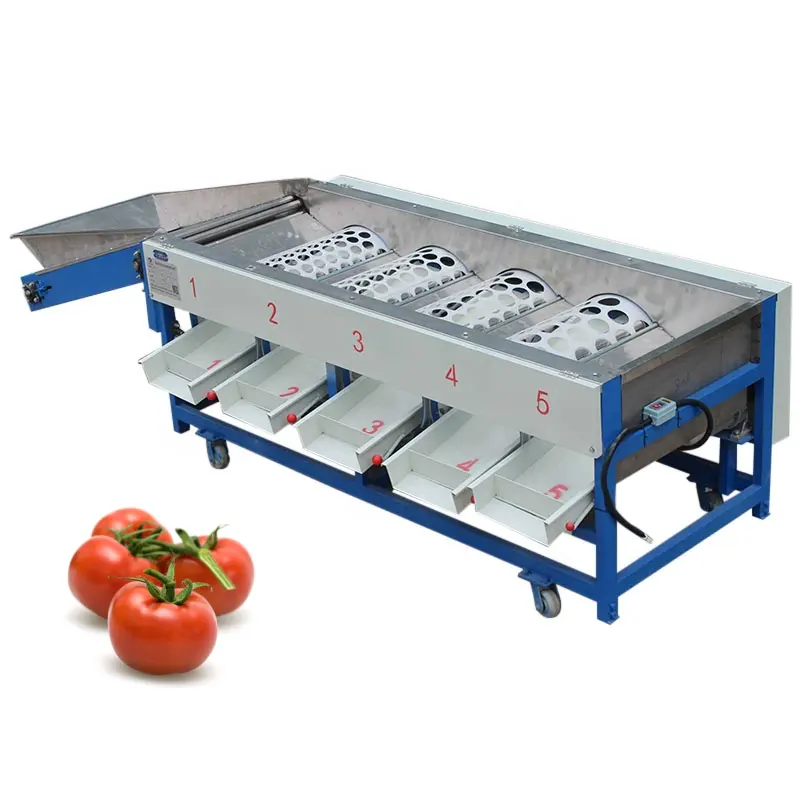 Schlussverkauf Tomaten-Apfel-Blumentopf-Sortiermaschine für Fruchtkartoffel-Sortiermaschine