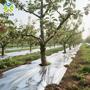 Nhà máy cung cấp màu đen và bạc nông nghiệp mulch phim mulching phim nông nghiệp đen mulch phim - Product Image 2