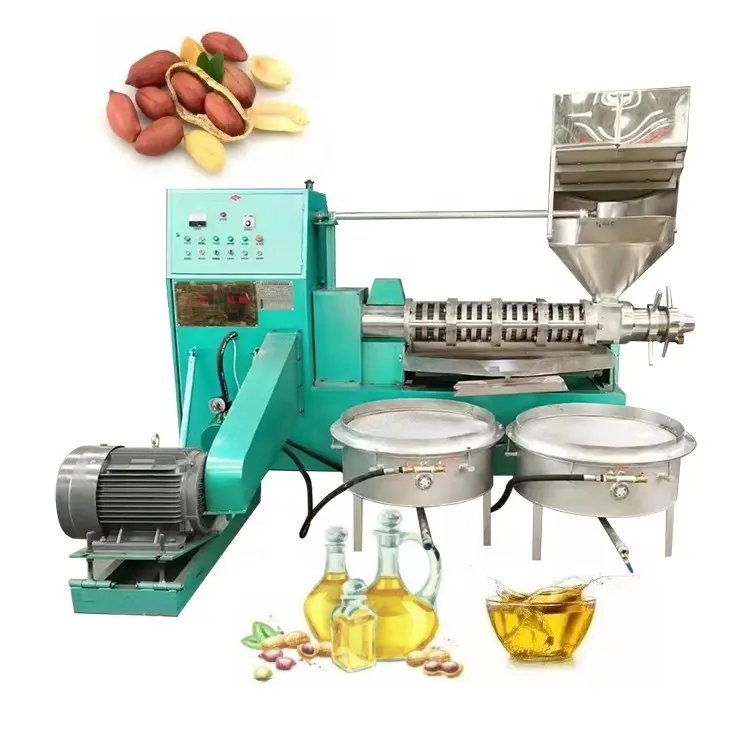 Cold screw oil press with filter corn germ almond oil pressing line olive oil press machine
