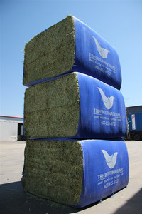 Cỏ linh lăng hay cho lợn thức ăn gia súc ngựa làm từ cỏ Rhodes đóng gói trong túi thức ăn chăn nuôi cao cấp với số lượng lớn - Product Image 2