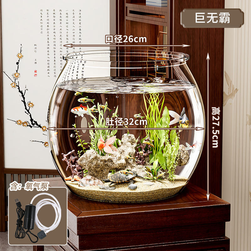 Giant round fish tank + oxygen pump