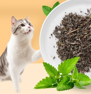 Safe <strong>Catnip</strong> Powder Cat Mint Organic <strong>Catnip</strong> Pet Cat Toy - Product Image 1