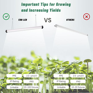T5发光二极管管2FT灯植物垂直传播生长全光谱水培发光二极管灯 - Product Image 5