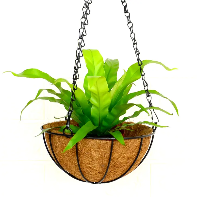 Đen Kim Loại Sắt Vòng Treo Hoa Giỏ Kim Loại Treo Planter Giỏ Với Chuỗi Hiên Nhà Với Coco Coir Lót