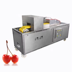 Ciliegia datteri albicocca prugna rosso datteri macchina per vaiolatura macchina per vaiolatura frutta secca lavaggio asciugatura datteri pasta in polvere linea di produzione pesca mela pera - Product Image 4