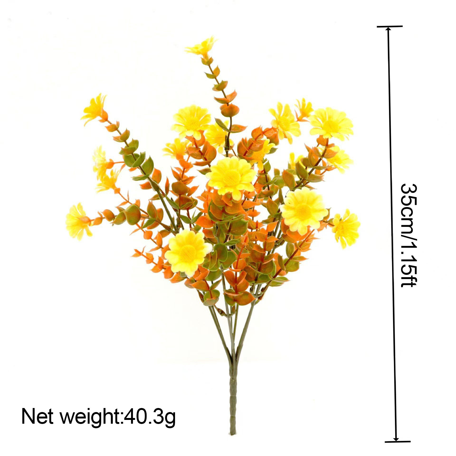 Chrysanthème d'eucalyptus jaune