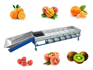 Macchina automatica ad alta efficienza per la selezione di frutta e verdura per la classificazione di aglio nuove condizioni per le industrie agricole - Product Image 6