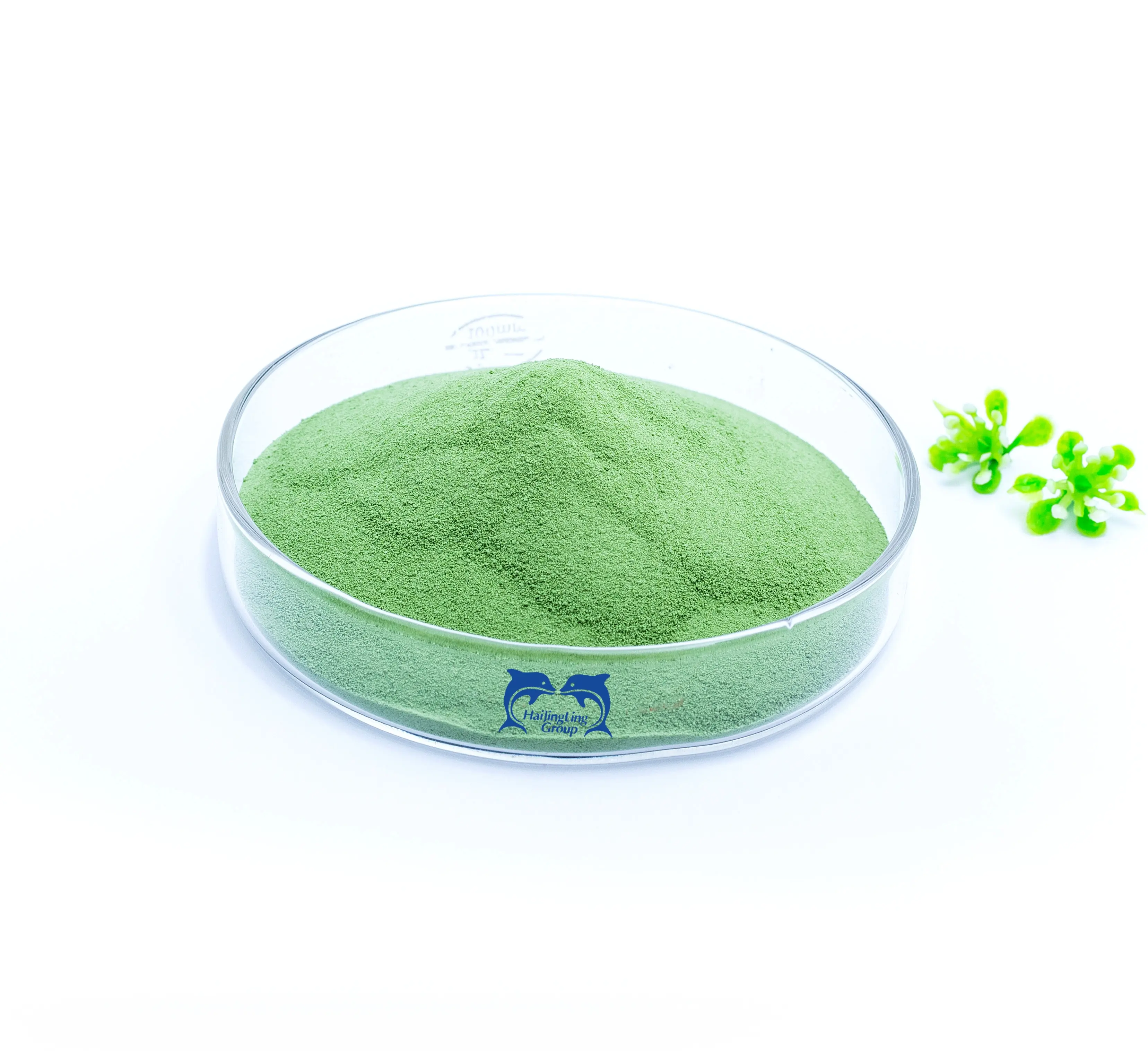 Venta al por mayor Ascophyllum Nodosum Extracto de algas verdes fertilizante orgánico en polvo Cas 84775-78-0