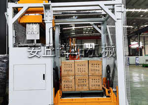 Máquina de carga de contenedores automática de Operación Aerodinámica Boyang máquina de carga de cartón