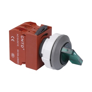 CNTDシリーズC3PNR6スイッチフラットプッシュボタンスプリングリターンLEDライトモーメンタリーIP6516A/10A/5Aプラスチックプッシュボタンスイッチ22mm - Product Image 2