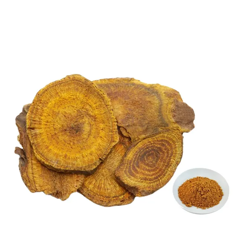 Free Sample 10:1 Chinese Traditional Herb Rhubarb Root Extract for Health Products