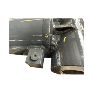 Đôi pivot mắt xi lanh thủy lực với khối van cho tùy chỉnh - Product Image 2