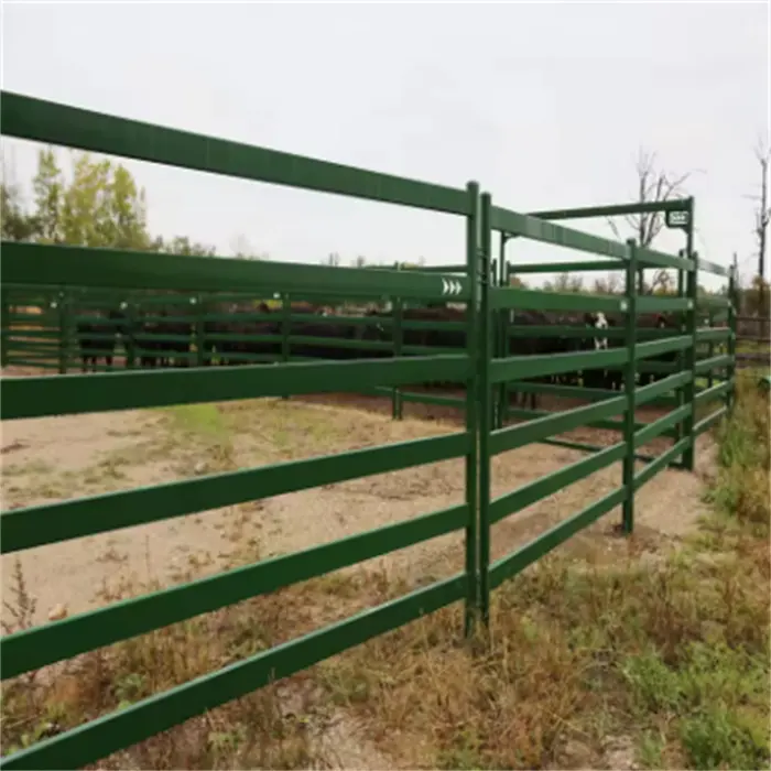 Alta calidad portátil usado galvanizado tubo de metal valla paneles caballo estable valla