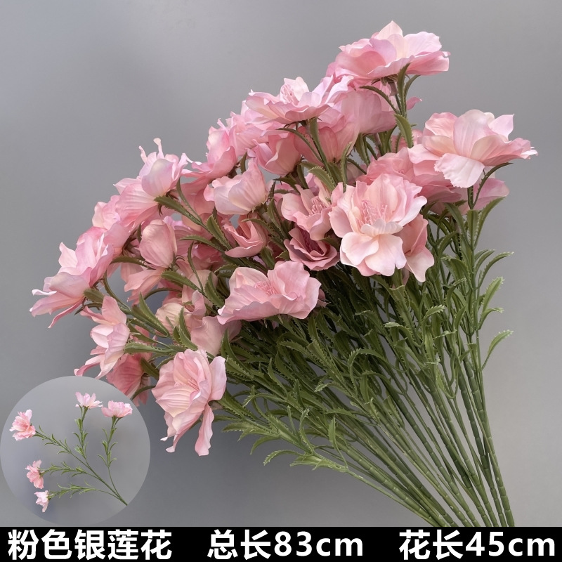 Pink anemone flower