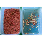 Máquina de procesamiento de anacardo, máquina de clasificación de color de alta precisión, más barata - Product Image 4