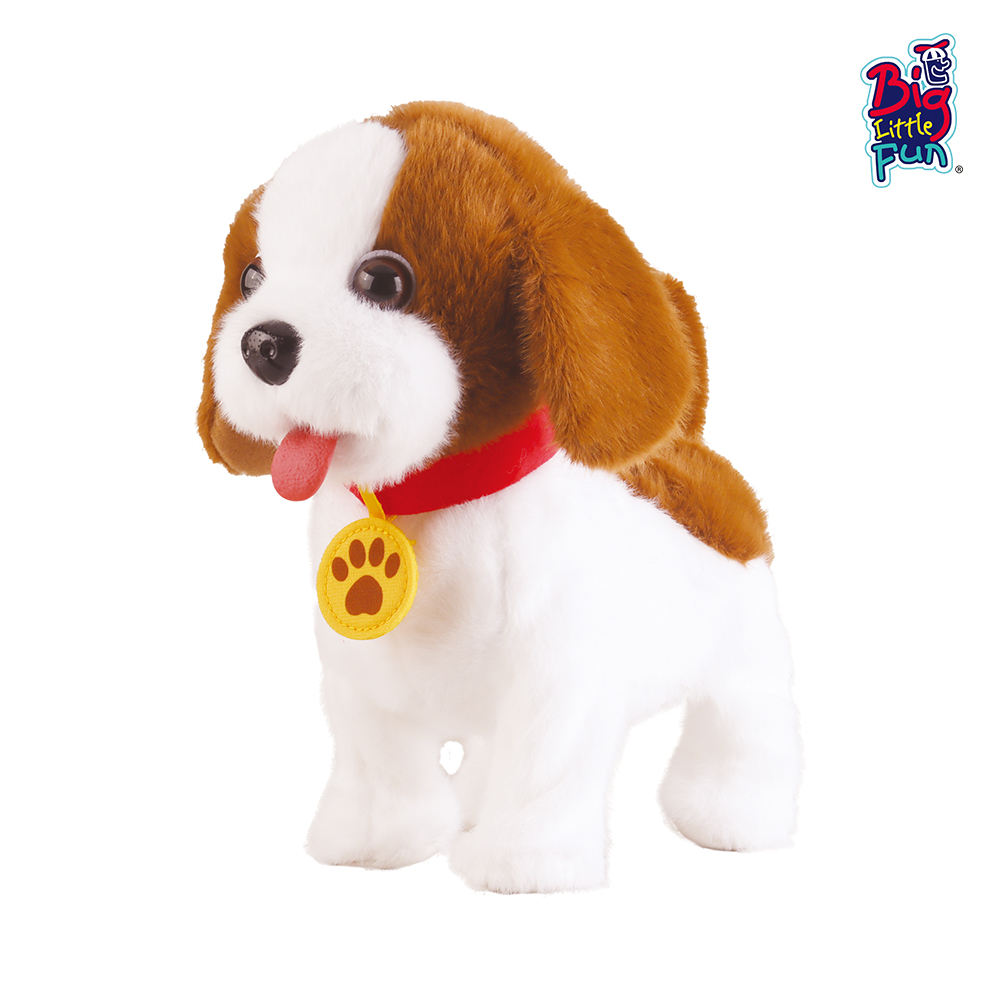 Pièces similaires à BZ813204