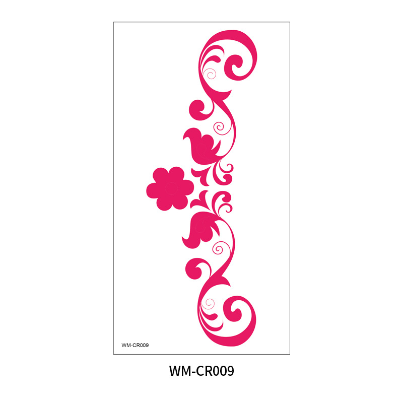 WM-CR009