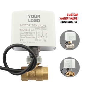 三线双控常闭电动球阀PN16带IP54电动220VAC 24VAC控制阀执行器 - Product Image 5