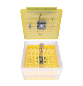 Çift güç Mini otomatik 96 yumurta kuluçka kullanılan Oeuf Couveuse dijital özellikleri ile - Product Image 5
