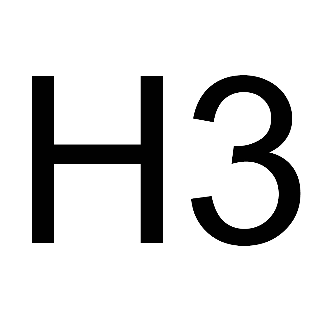 H3