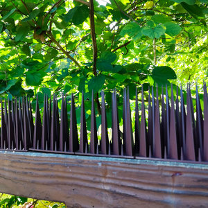 ตาข่ายป้องกันนกทางการเกษตร ตาข่ายป้องกันสำหรับต้นไม้ผลไม้และพืชผล ปลอดภัยและมีประสิทธิภาพสำหรับการใช้งานในฟาร์ม - Product Image 5