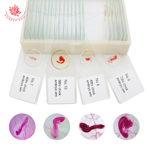 Diapositivas de microscopio de embrión de pollo de enseñanza biológica Diapositivas preparadas de embrión de pollo fresco y transparente para uso educativo - Product Image 6