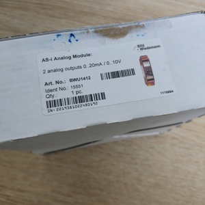 100% Original New Bihl Wiedemann BWU1412 ASi <strong>Analog</strong> Output IP20 <strong>Module</strong> with <strong>Ethernet</strong>/IP Network
