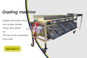 Selezionatrice/calibratrice automatica della frutta