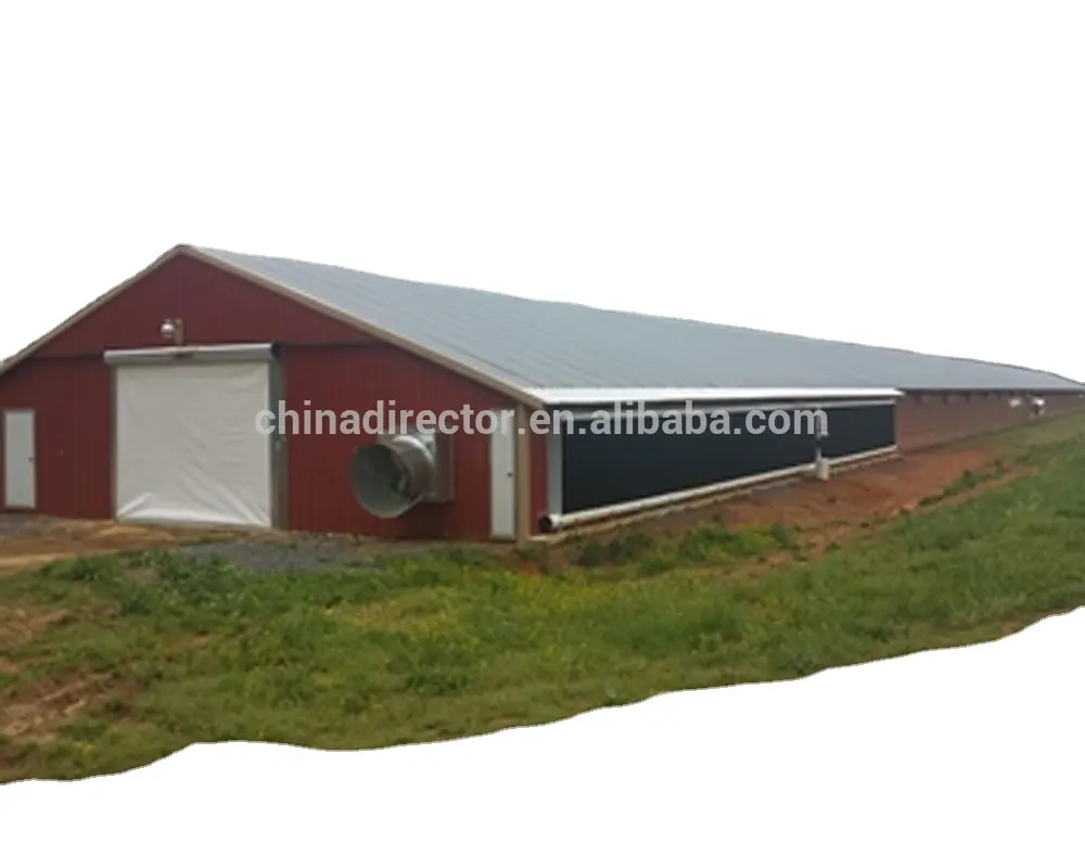 Mejor Proveedor de China marco de acero de capa de pollo jaula de aves de corral granja construcción diseño de la casa para la venta en Kenya