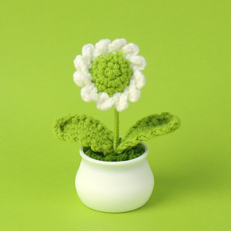 White & Green Daisy