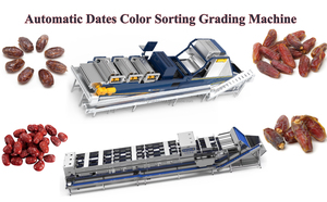 Máquina clasificadora de <span class=keywords><strong>color</strong></span> de dátiles de ciruela de buen rendimiento, línea de clasificación de lavado de dátiles de Palma - Product Image 6