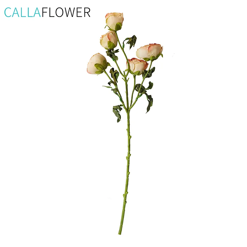 DY1-4479 뜨거운 판매 인공 꽃 단일 줄기 여러 색상 레코딩 연꽃 말린 장미 꽃 웨딩 Centerpieces