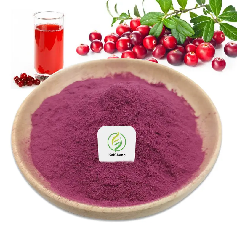 Bán buôn tự nhiên 25% 36% proanthocyanidins Cranberry Bột nước ép Nam Việt Quất chiết xuất bột Cranberry bột