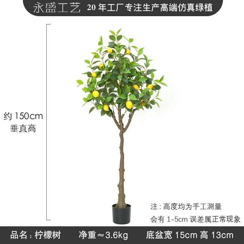 4ft lemon tree