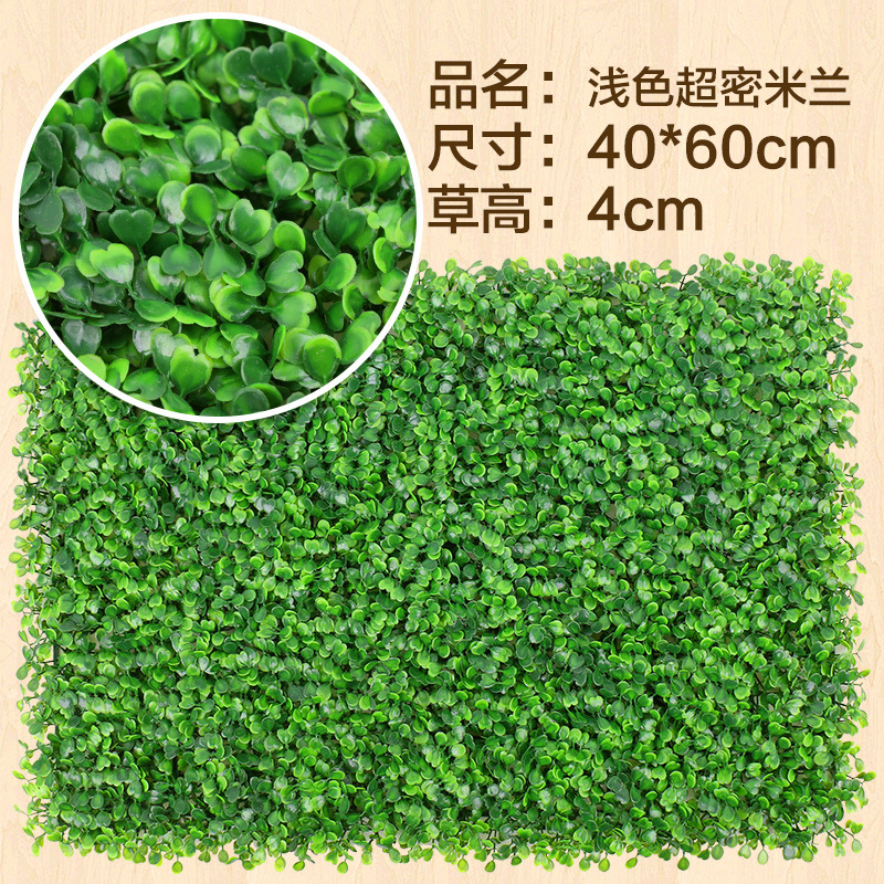 Milan super-dense de couleur claire